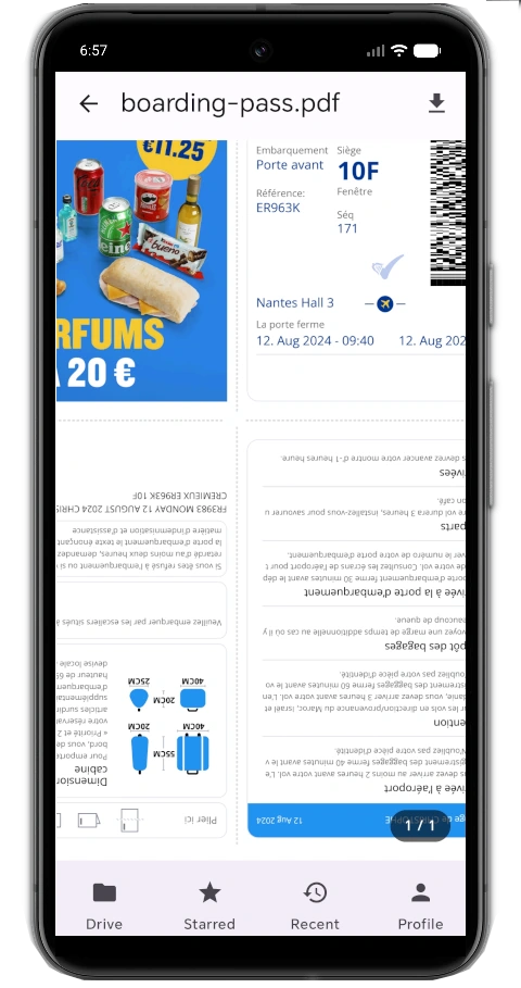 PDF-Viewer
